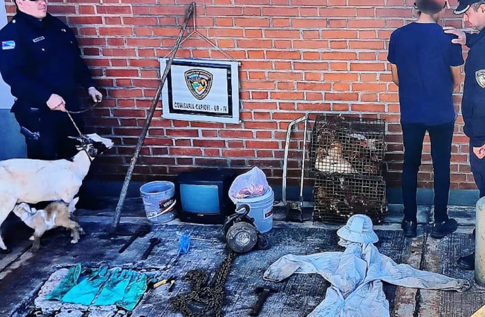 Capioví: detienen a una pareja por el robo de animales de granja