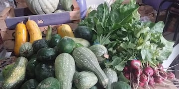 Donan a Madres Cocinando la verdura que cultivan en la colonia penal de San Rafael.