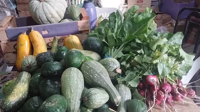 Donan a Madres Cocinando la verdura que cultivan en la colonia penal de San Rafael.