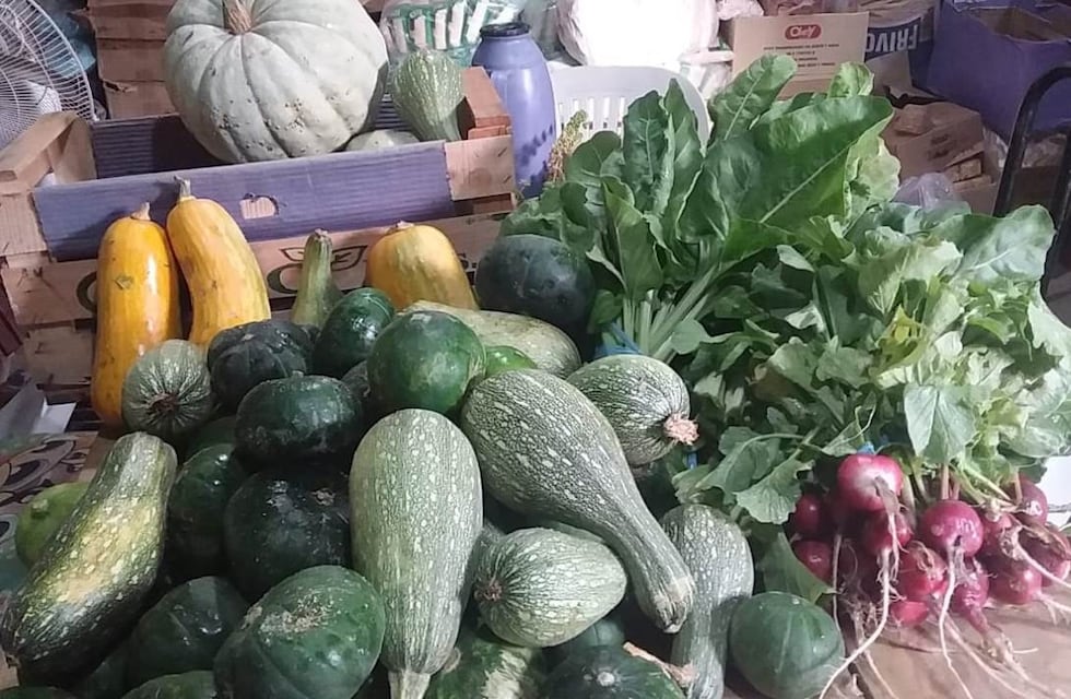 Donan las frutas y verduras que cultivan en la colonia penal a Madres Cocinando
