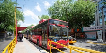 Amplían la capacidad de los colectivos en Mendoza.