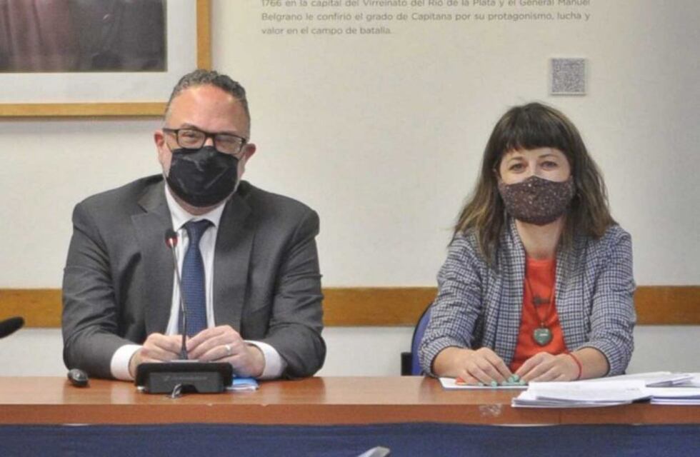 Cannabis medicinal: la diputada Gaillard expuso y el proyecto avanza