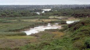 El espécimen fue reinsertado cerca de la zona de Río Dulce de Córdoba.
