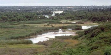 El espécimen fue reinsertado cerca de la zona de Río Dulce de Córdoba.