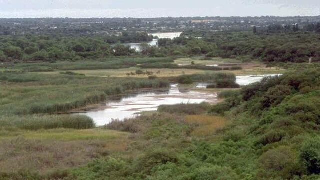 El espécimen fue reinsertado cerca de la zona de Río Dulce de Córdoba.