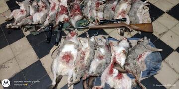 Los cazadores furtivos fueron sorprendidos con 16 vizcachas muertas y evisceradas ocultas en tres morrales, Foto: Prensa Ministerio de Seguridad de Mendoza.