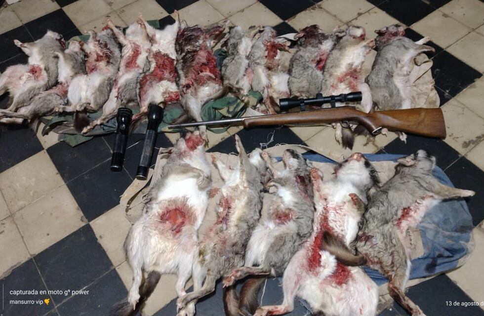Cazadores furtivos fueron sorprendidos con 16 vizcachas muertas y los detienen tras una persecución