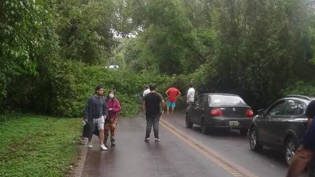 Temporal causó la caída de un árbol sobre la ruta 101 camino al aeropuerto de Puerto Iguazú
