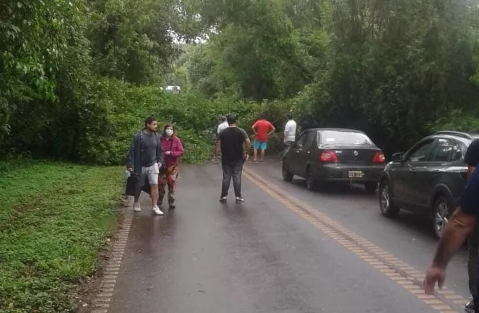 Temporal causó la caída de un árbol sobre la ruta 101 camino al aeropuerto de Puerto Iguazú
