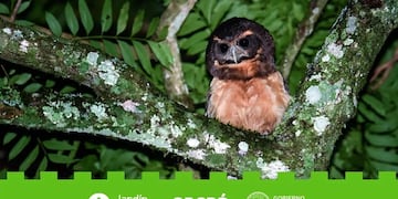 Oberá refuerza su agenda de verano con un nuevo Paseo Nocturno en el Jardín Botánico.