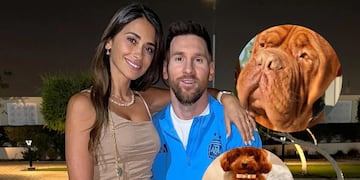 La pareja tiene devoción por los perros.