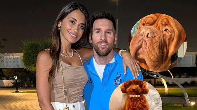 La pareja tiene devoción por los perros.