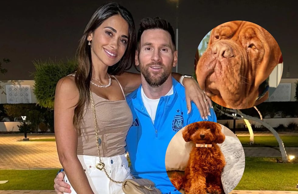 Conocé a las mascotas de Lionel Messi y Antonela Roccuzzo: razas, nombres y curiosidades
