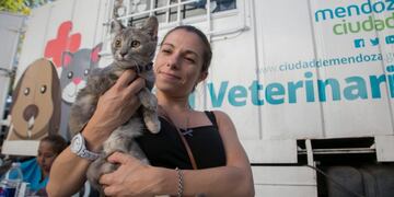 La Municipalidad de la Ciudad de Mendoza ha organizado para este sábado y de 17 a 20 una jornada de sensibilización y adopción animal. Gentileza MCM