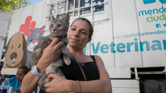 La Municipalidad de la Ciudad de Mendoza ha organizado para este sábado y de 17 a 20 una jornada de sensibilización y adopción animal. Gentileza MCM