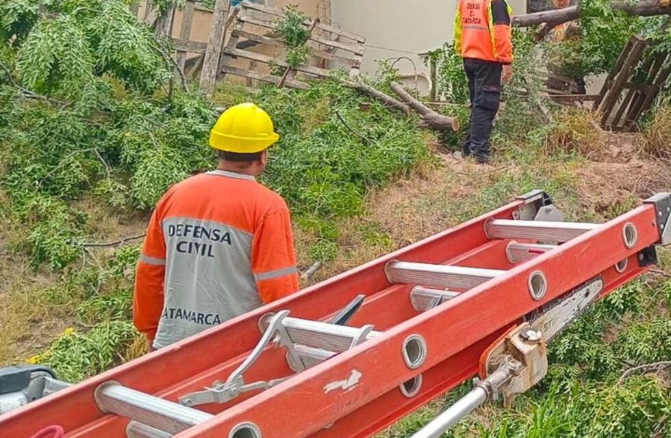 Intensos vientos registrados en el Valle Central