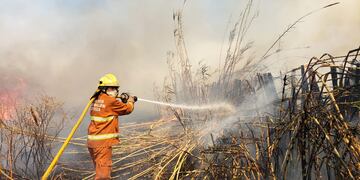 El predominante Viento Sur complicó el labor de los bomberos. Foto: Claudio Gutiérrez / Los Andes