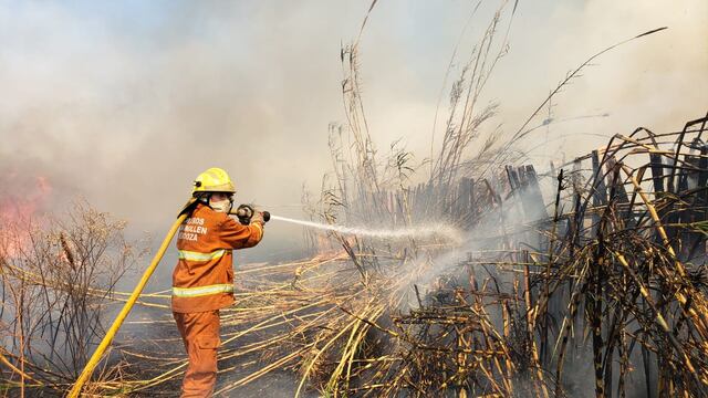El predominante Viento Sur complicó el labor de los bomberos.  Foto: Claudio Gutiérrez / Los Andes