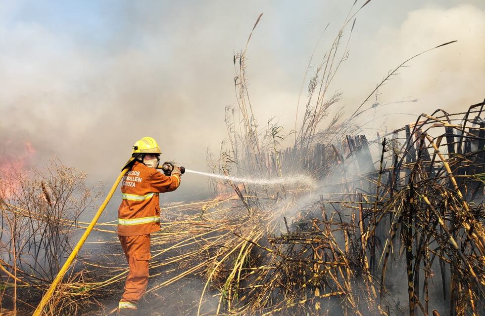 Más de 50 bomberos trabajaron para combatir el fuego en varias zonas de Guaymallén