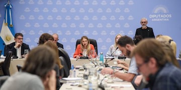 La Comisión de Previsión y Seguridad Social de Diputados comenzó el debate de la nueva fórmula jubilatoria. Foto: HCDN