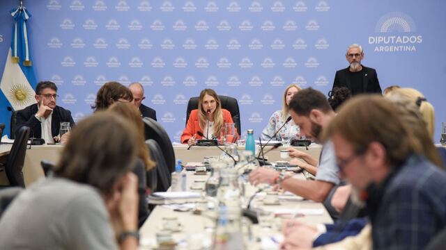 La Comisión de Previsión y Seguridad Social de Diputados comenzó el debate de la nueva fórmula jubilatoria. Foto: HCDN