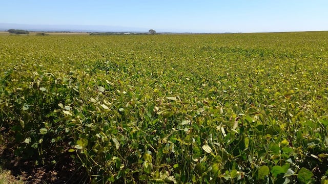 Un productor de Córdoba está bajo la mira de la Justicia por una presunta estafa millonaria.