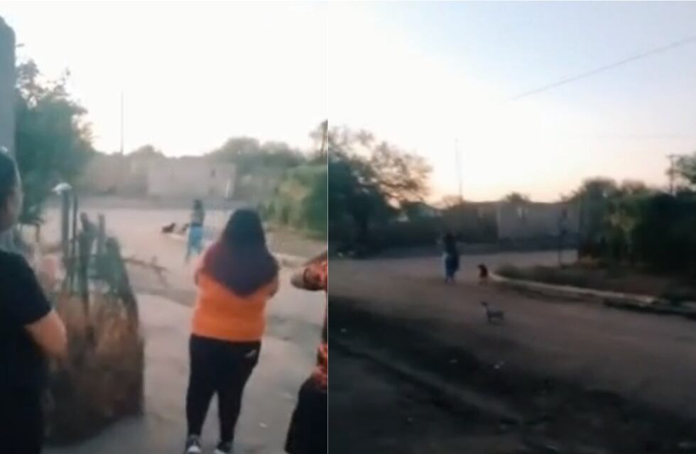 Viralazo cordobés: consiguió su primer trabajo a los 25 años y armaron un particular festejo