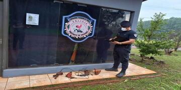 Recuperan herramientas presuntamente robadas en una zona de malezas en Montecarlo.