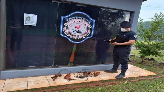 Recuperan herramientas presuntamente robadas en una zona de malezas en Montecarlo.