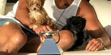 Qué va a pasar con los perritos, Caramelo y Delmora, cuando termine Gran Hermano.