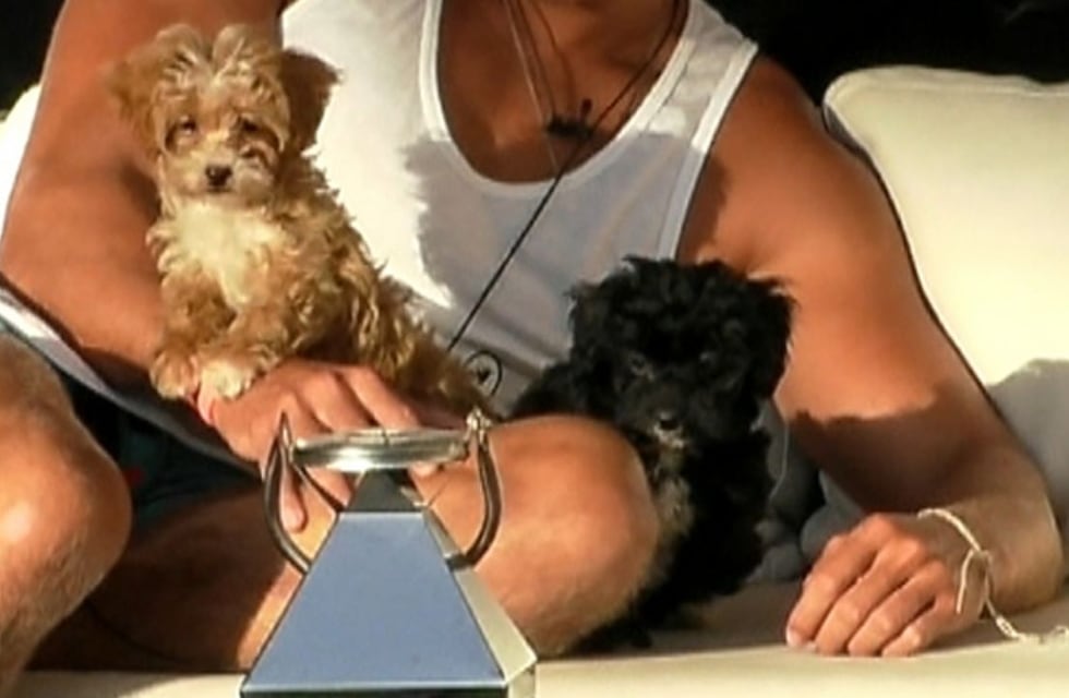 Qué va a pasar con los perritos, Caramelo y Delmora, cuando termine Gran Hermano