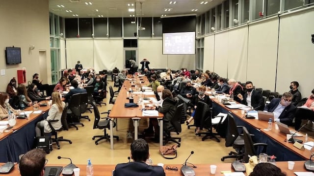 Plenario de comisiones, Cámara de Diputados