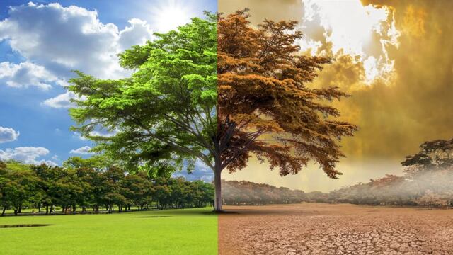 Si queremos Bienestar Humano debemos mirar al Medio Ambiente