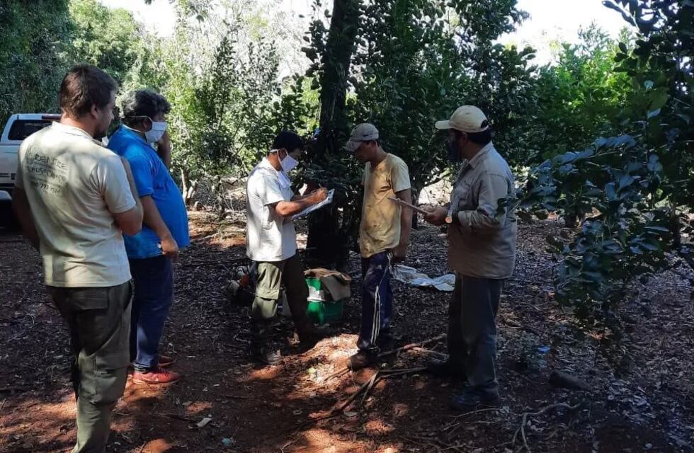 El RENATRE registró establecimientos donde se sucedían hechos de explotación laboral