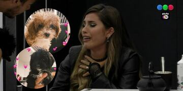 Mora empezó a buscar a Caramelo y Julieta rompió en llanto en Gran Hermano.