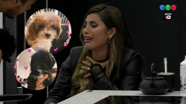 Mora empezó a buscar a Caramelo y Julieta rompió en llanto en Gran Hermano.