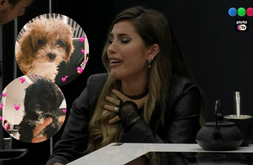 Mora empezó a buscar a Caramelo y Julieta rompió en llanto en Gran Hermano