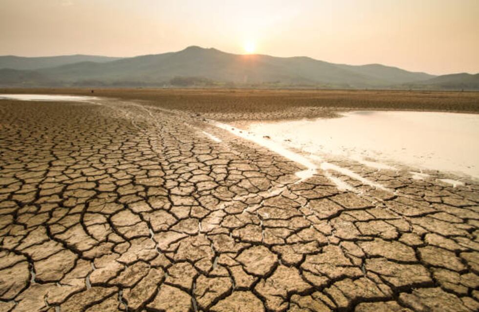 Las principales búsquedas de los argentinos en Google sobre el cambio climático