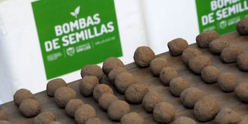 Bombas de Semillas