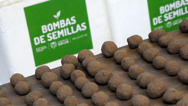 Bombas de Semillas