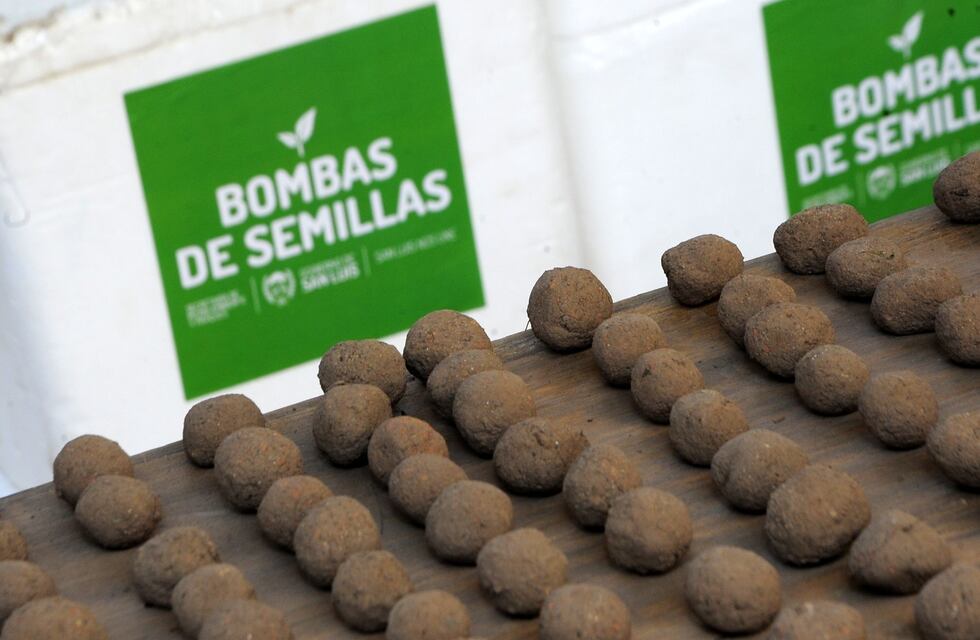 En la Cuenca del Morro habrá siembra aérea de árboles