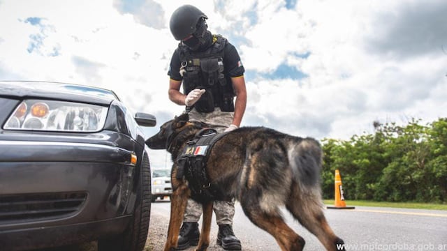 La FPA incauta droga en la ruta 158