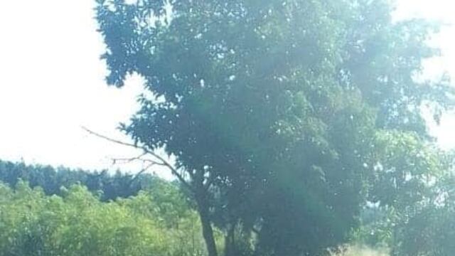 Una motocicleta robada fue recuperada en Puerto Esperanza.