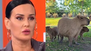 La modelo salió al cruce tras la polémica por los destrozos que los carpinchos hicieron en su casa.