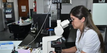Los especialistas remarcan la relevancia de la articulación en zonas limítrofes, donde se registra casos de leishmaniasis visceral, destacando la colaboración permanente entre áreas de zoonosis de los municipios.