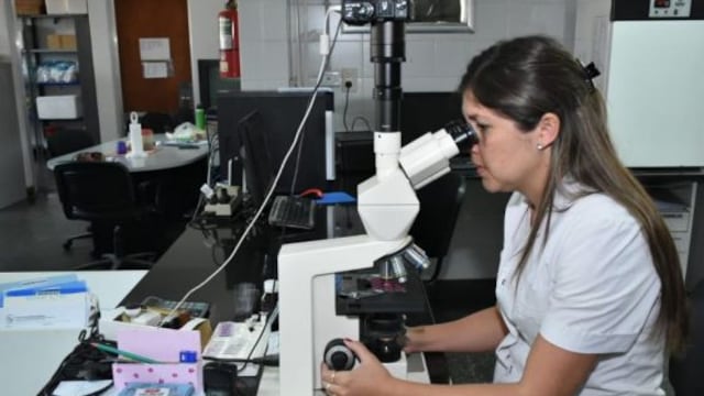 Los especialistas remarcan la relevancia de la articulación en zonas limítrofes, donde se registra casos de leishmaniasis visceral, destacando la colaboración permanente entre áreas de zoonosis de los municipios.
