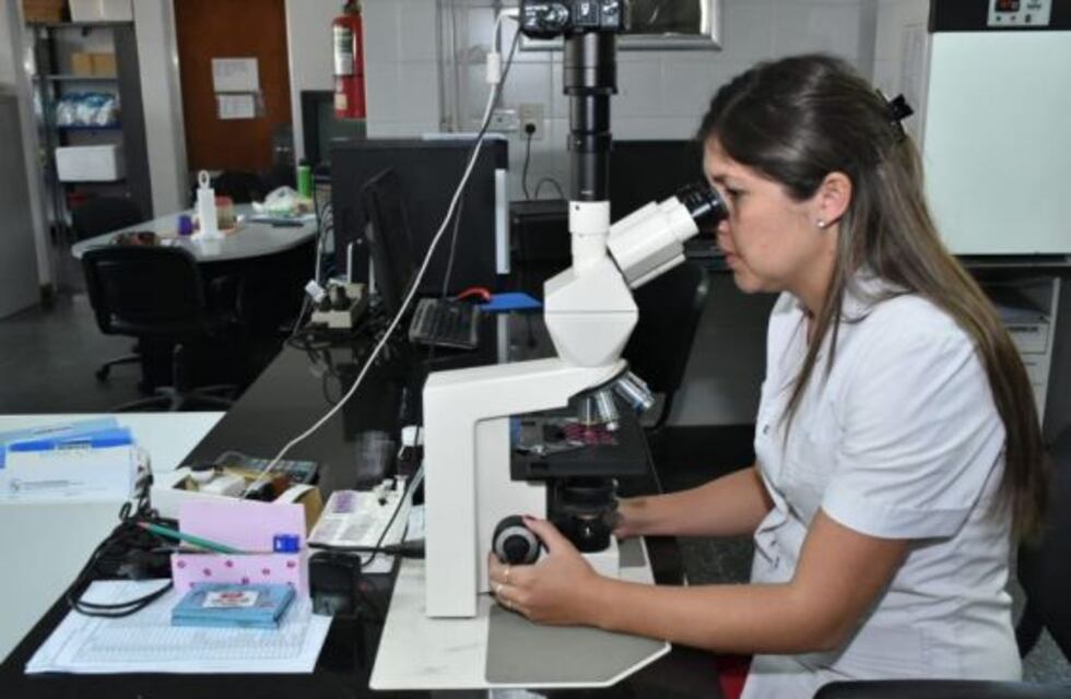 ¿Qué es la leishmaniasis visceral, la enfermedad que preocupa en Jujuy y Salta?