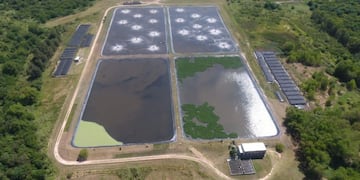 Planta de tratamiento de efluentes - Llamado a licitación para la ampliación.