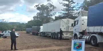 Cada rodado contenía alrededor de 29 toneladas de soja.