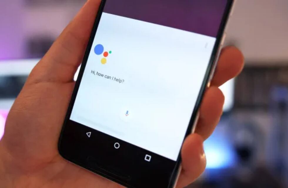 Video: jóvenes chilenos le hicieron una broma a su vecino porque les robaba Wi-Fi y se volvió viral